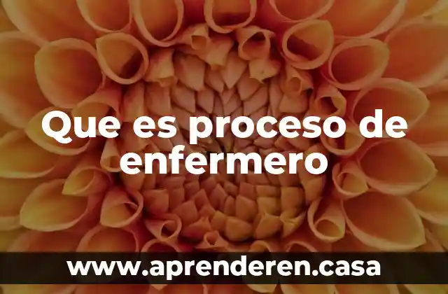 Que es proceso de enfermero