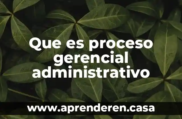 Que es proceso gerencial administrativo