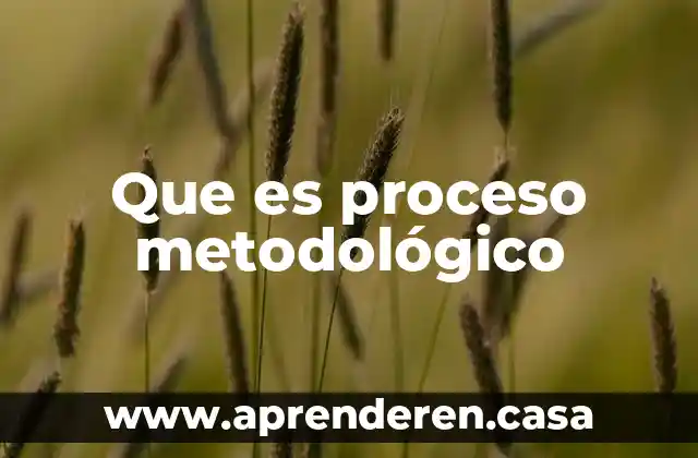 Que es proceso metodológico