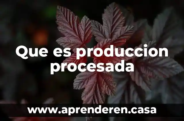 Que es produccion procesada