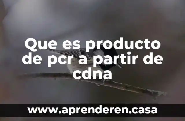 Que es producto de pcr a partir de cdna