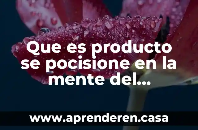 Que es producto se pocisione en la mente del consumidr