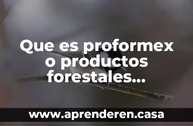 Que es proformex o productos forestales mexicanos