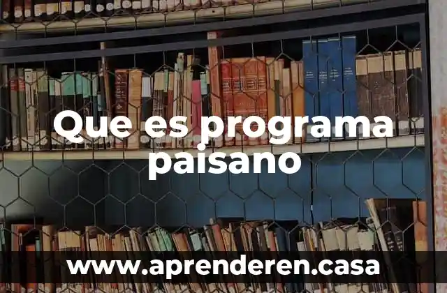 Project programa que es 8 Que es programa paisano