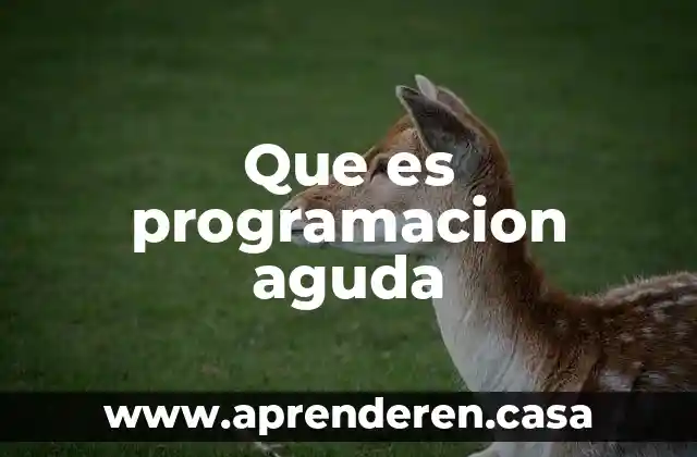 Modula programación que es 4 Que es programacion aguda