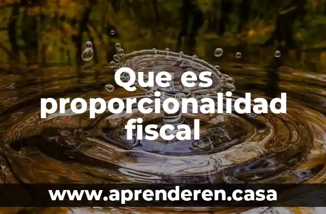 Que es proporcionalidad fiscal