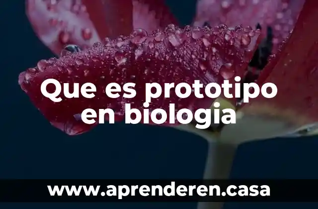 Que es prototipo en biologia