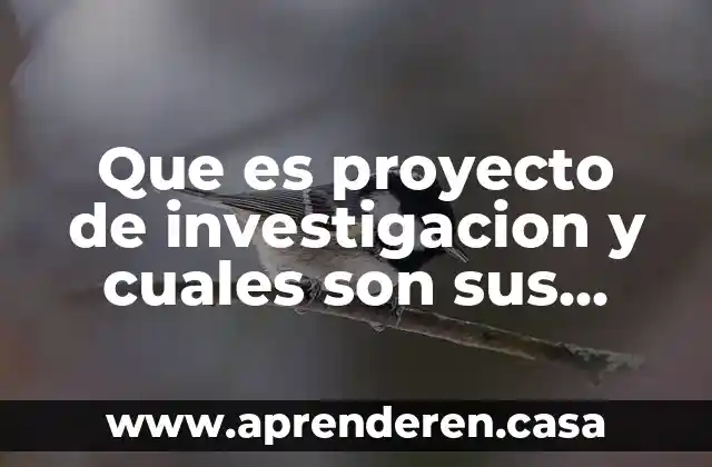 Que es proyecto de investigacion y cuales son sus partes