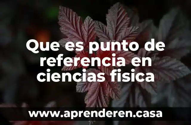 Que es punto de referencia en ciencias fisica