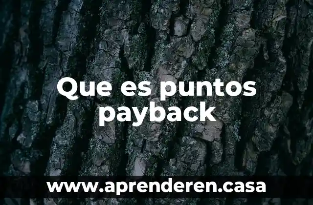 Qué es puntos críticos de control 4 Que es puntos payback
