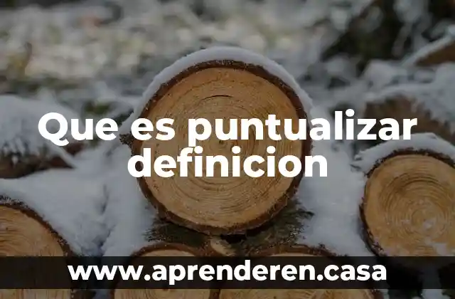 Que es puntualizar definicion