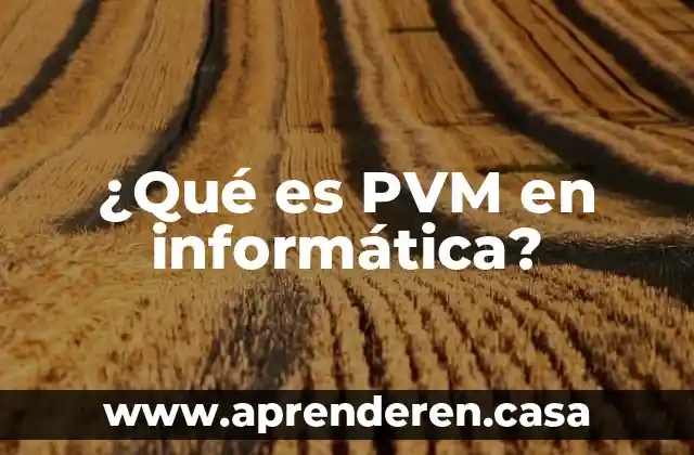 Que es el programa de cuenta en informatica 8 ¿Qué es PVM en informática?