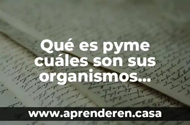 Qué es pyme cuáles son sus organismos públicos y privados