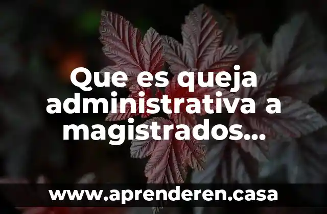 Que es queja administrativa a magistrados jueces