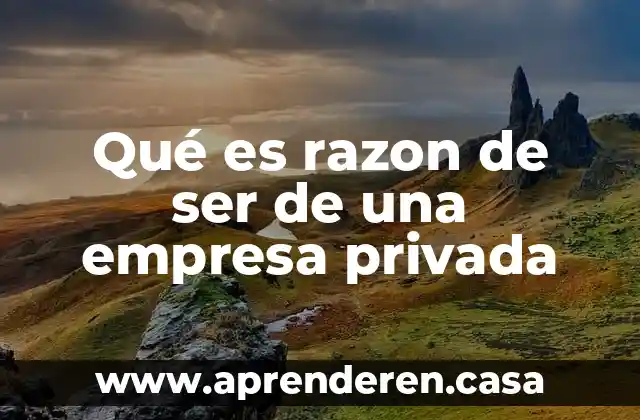Qué es razon de ser de una empresa privada