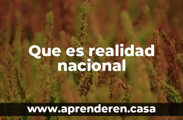 Que es realidad nacional