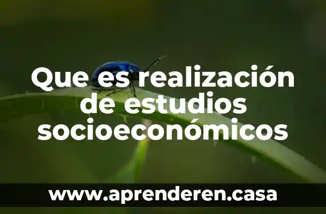 Que es realización de estudios socioeconómicos