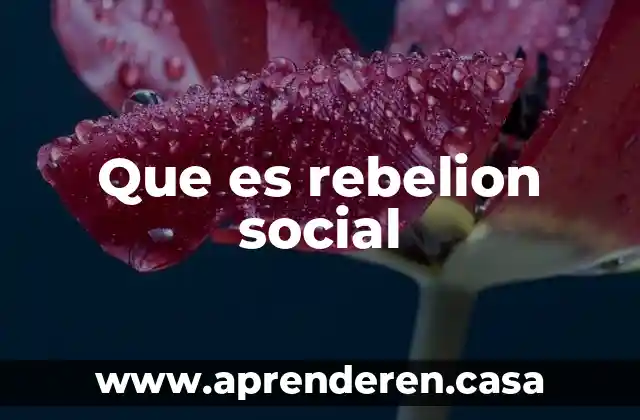 Que es pulcritud social 4 Que es rebelion social