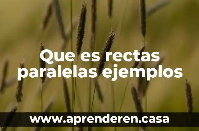 Que es rectas paralelas ejemplos