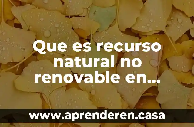 Que es recurso natural no renovable en economia