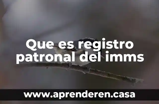 Que es registro patronal del imms
