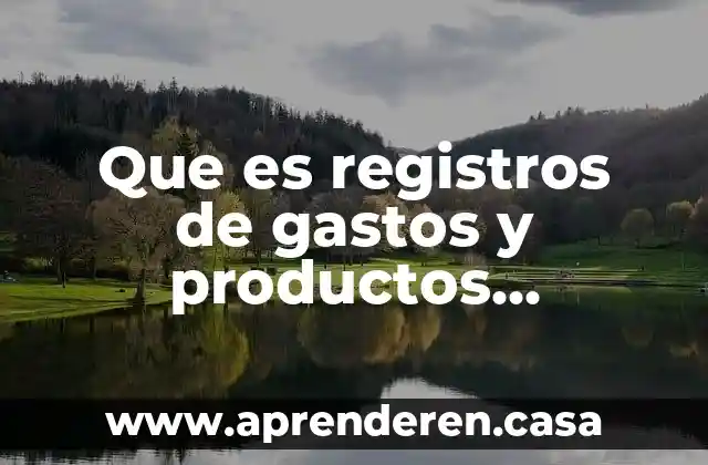 Que es registros de gastos y productos financieros diapositvads