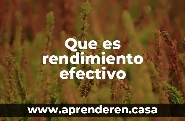 Que es rendimiento industrial 4 Que es rendimiento efectivo