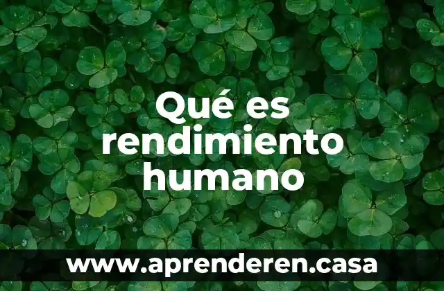 Que es rendimiento industrial 6 Qué es rendimiento humano