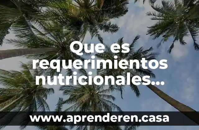 Que es sistem mayor 3 Que es requerimientos nutricionales lipido adulto mayor segun la oms