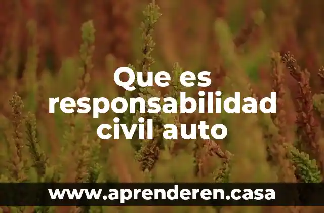 Que es responsabilidad civil auto