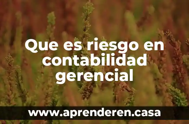 Que es riesgo en contabilidad gerencial