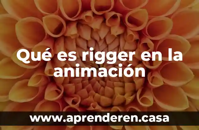 Qué es rigger en la animación