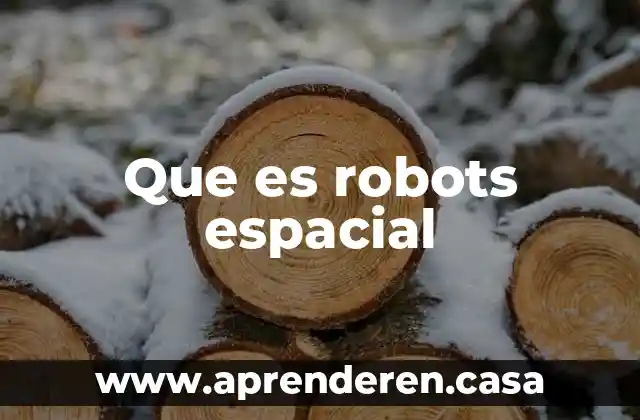 Que es robots espacial