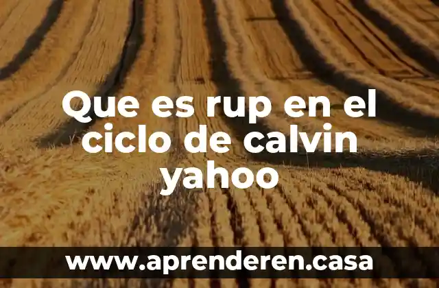 Que es rup en el ciclo de calvin yahoo