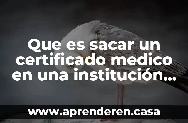 Que es sacar un certificado medico en una institución oficial
