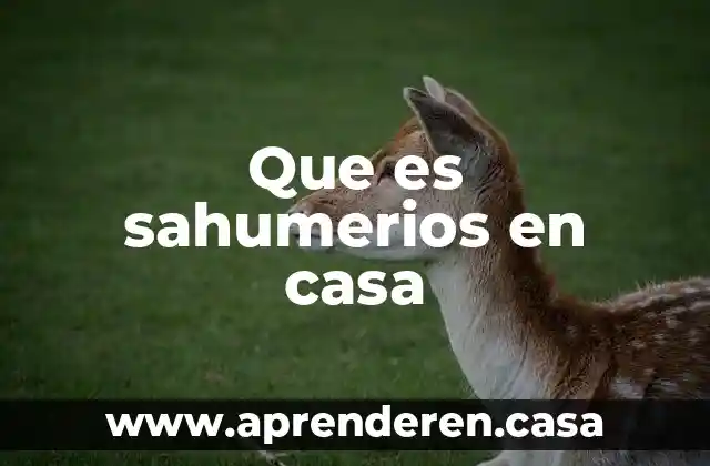 Que es sahumerios en casa