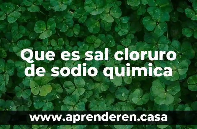 Qué es la sal marina 5 Que es sal cloruro de sodio quimica