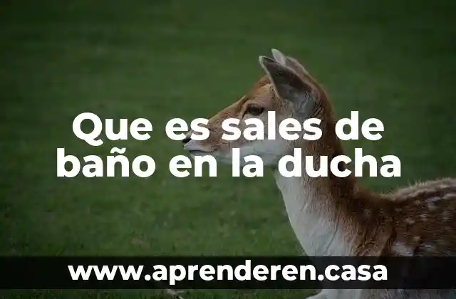 Que es sales de baño en la ducha