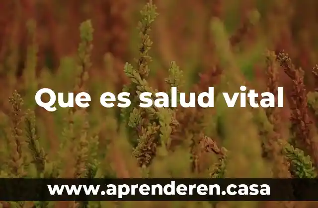 Que es salud vital