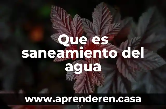 Que es saneamiento del agua
