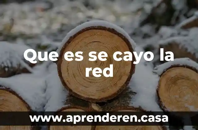 Que es una red agricola productores 4 Que es se cayo la red