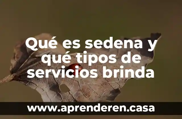Qué es sedena y qué tipos de servicios brinda