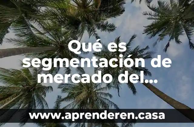 Que es la eficiencia de un sistema de riego 4 Qué es segmentación de mercado del sistema de riego