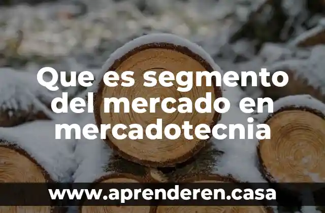 Que es segmento del mercado en mercadotecnia