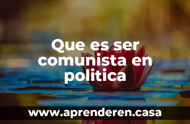 Que es ser comunista en politica