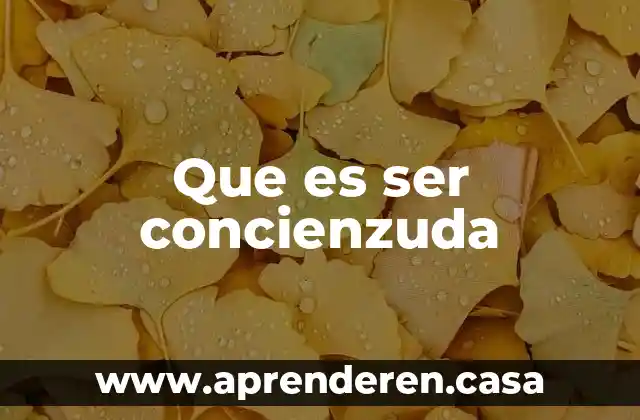 Papi que es el ser humano 3 Que es ser concienzuda