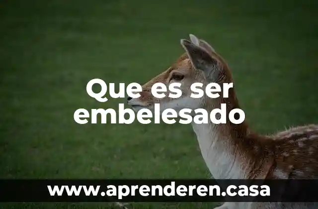 Que es ser embelesado