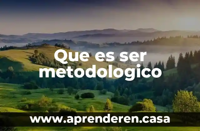 Que es ser metodologico
