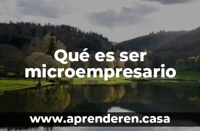 Qué es ser microempresario