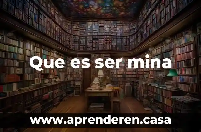 Que es ser mina